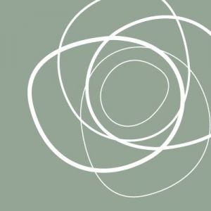 Logo La Dame De Pic