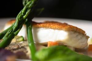 SHIRO | Restaurant Franco Japonais Fusion